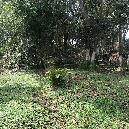 Recanto Figueiredo Villa Ibiúna Dış mekan fotoğraf