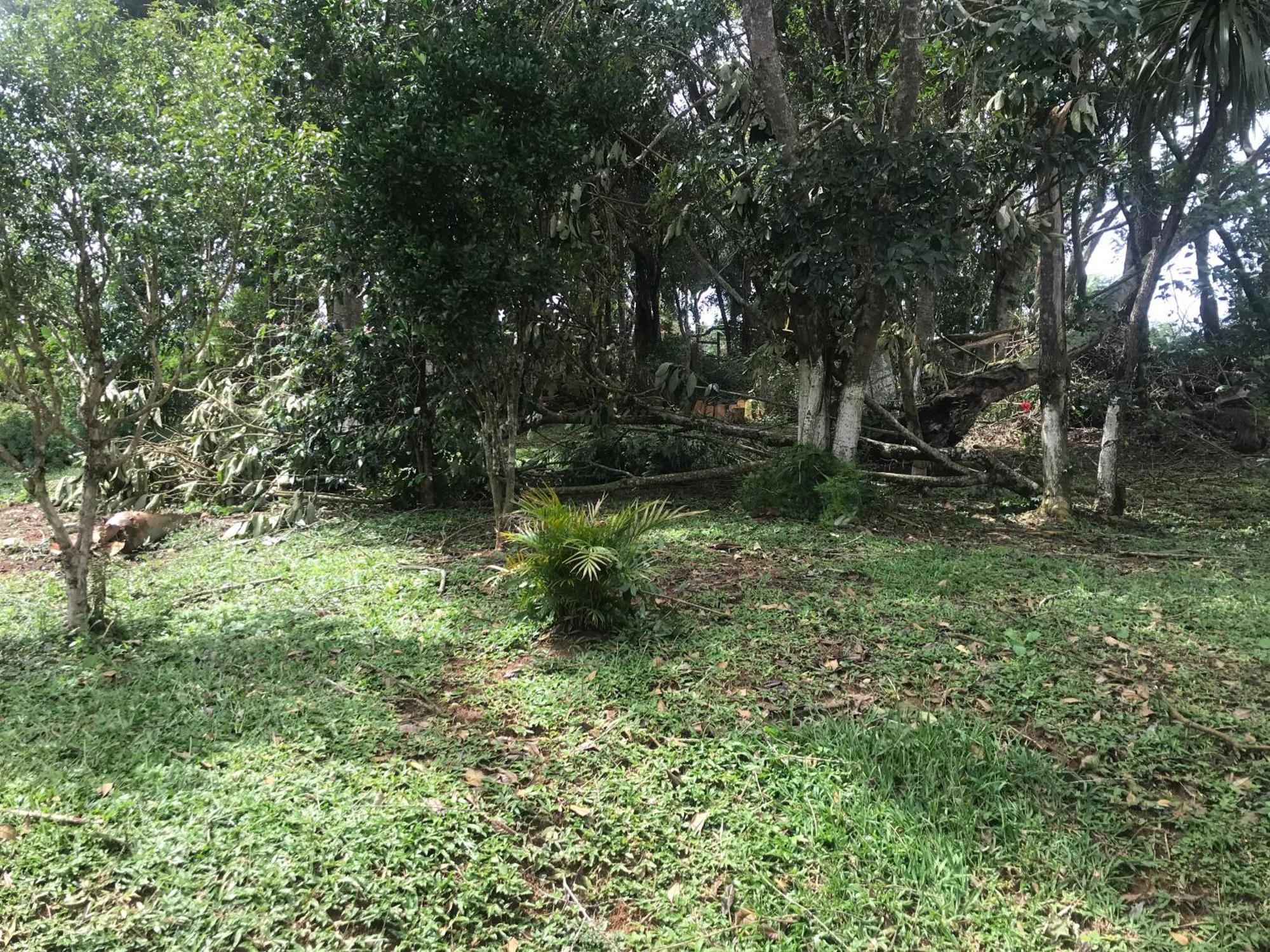 Recanto Figueiredo Villa Ibiúna Dış mekan fotoğraf