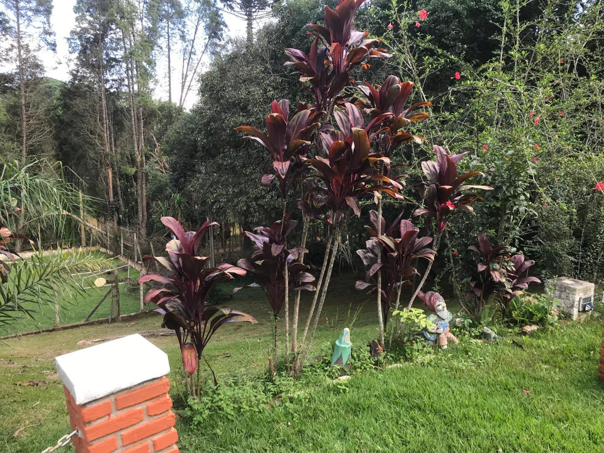 Recanto Figueiredo Villa Ibiúna Dış mekan fotoğraf